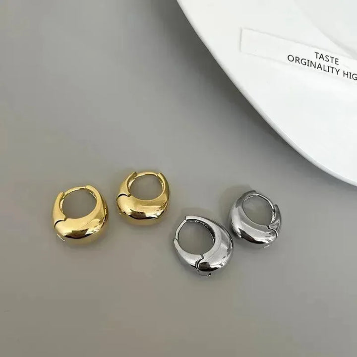 Classic Small Hoop Earrings for Women - themiraclebrands.store