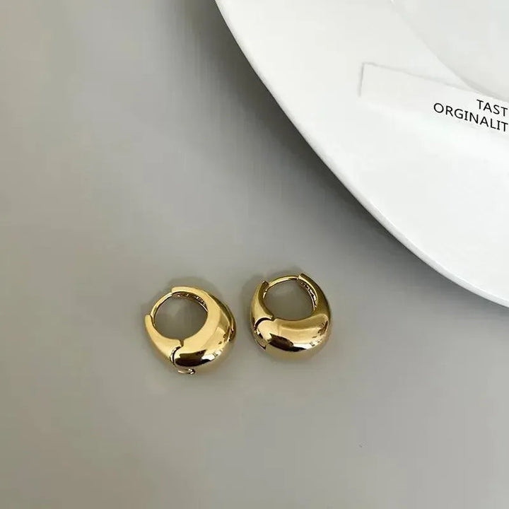 Classic Small Hoop Earrings for Women - themiraclebrands.store