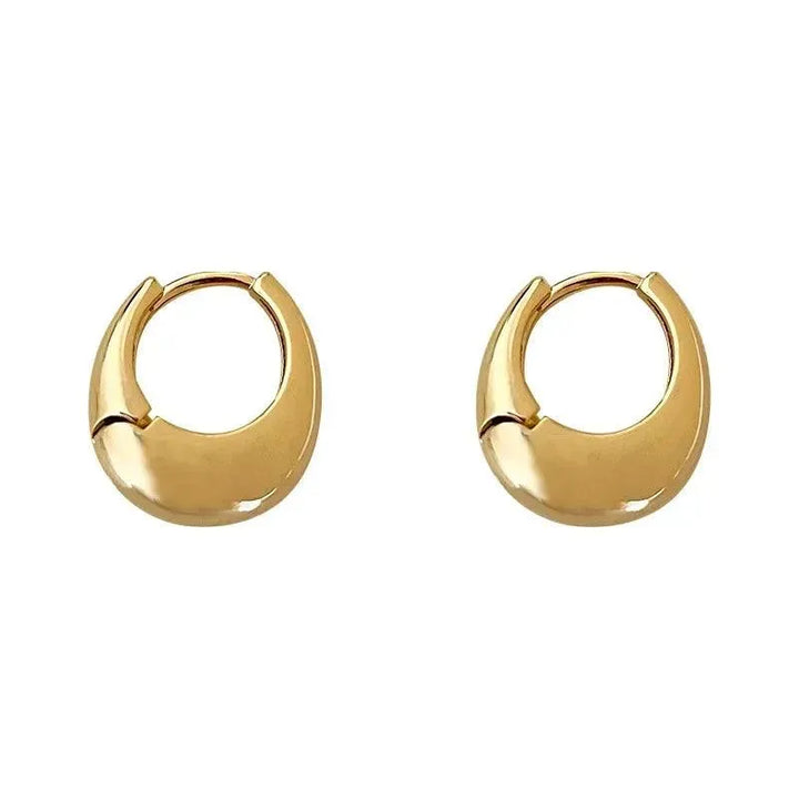 Classic Small Hoop Earrings for Women - themiraclebrands.store