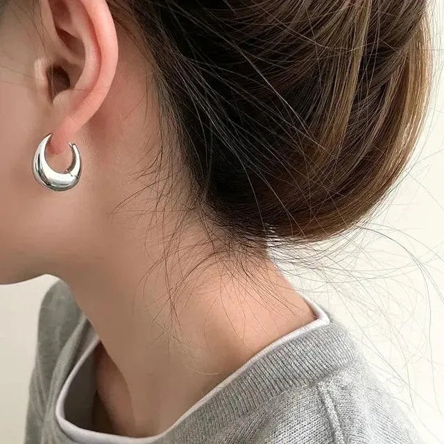 Classic Small Hoop Earrings for Women - themiraclebrands.store